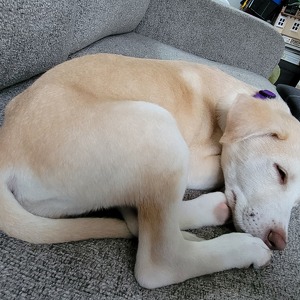 Fundraising Page: Christine Folwell Williman